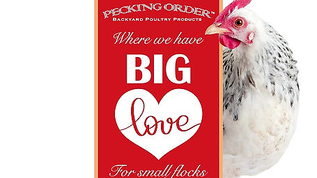 Pecking Order Product Line